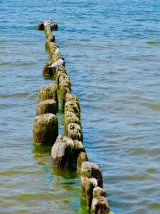 Am Strand